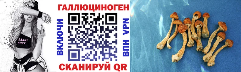 ОМГ ОМГ как войти Кизилюрт Псилоцибиновые грибы MAGIC MUSHROOMS